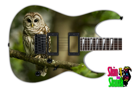  Guitar Skin Animals Owl 